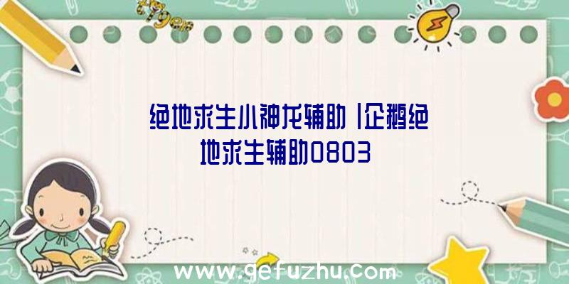 「绝地求生小神龙辅助」|企鹅绝地求生辅助0803